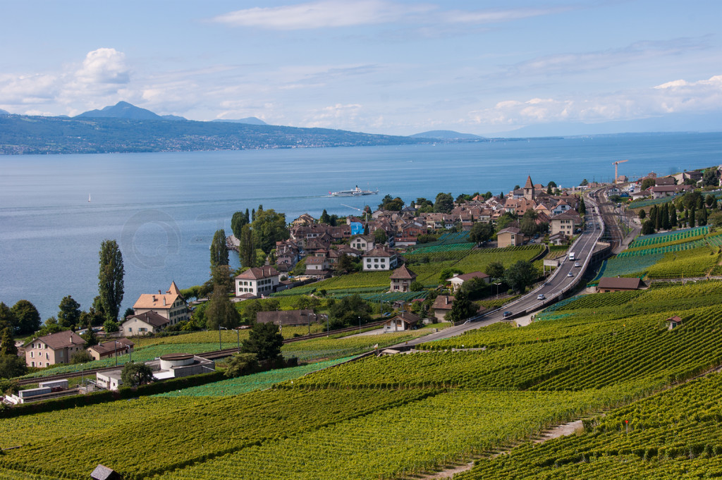 terrasse de lavaux,lac leman,,ʿ