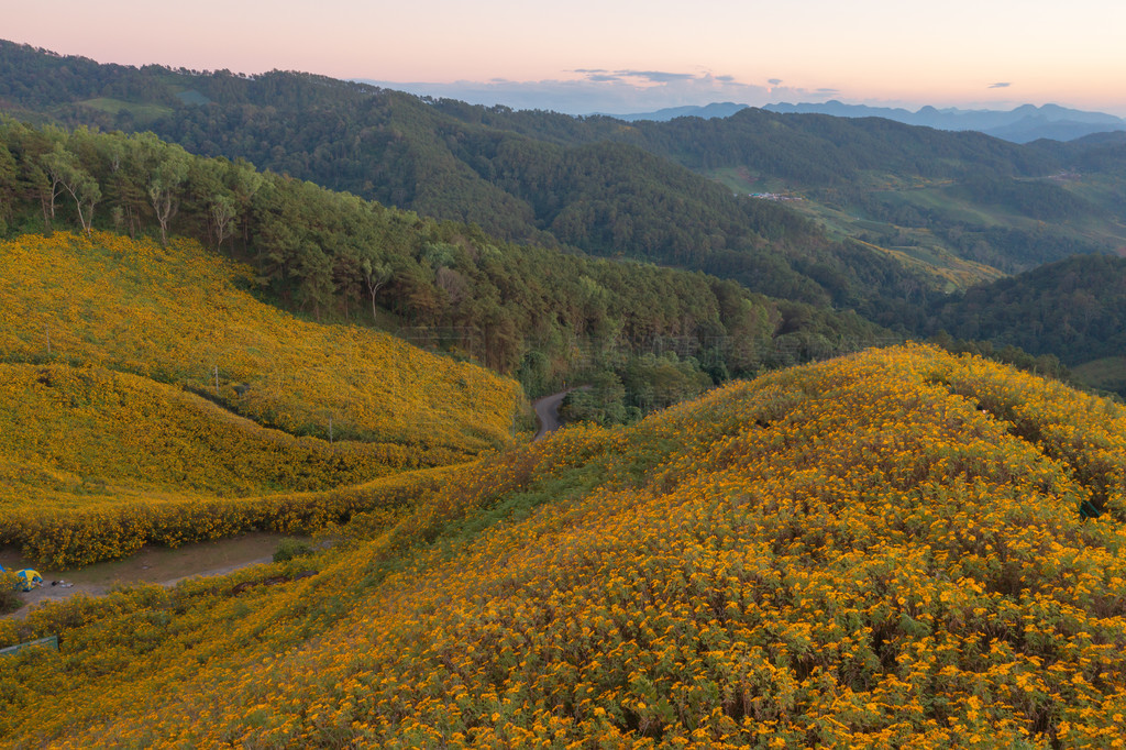 ̩غ˳һ԰԰ɽϵپջƻͼкͶȼеȻۡ Doi Mae U Kho  Thung Bua Tong