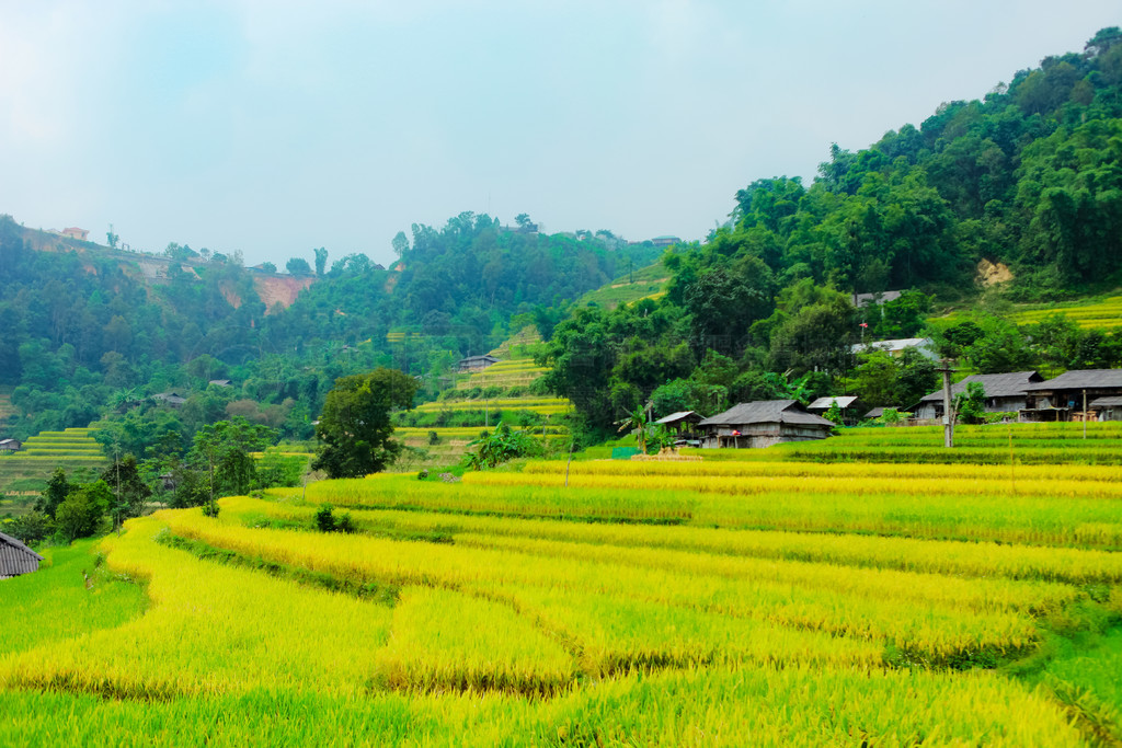 ϵĵ׼ֲˮءӽʡ Huyen Hoang Su Phi  Ban PhungԽϱ