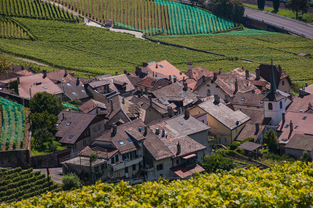 terrasse de lavaux,lac leman,,ʿ