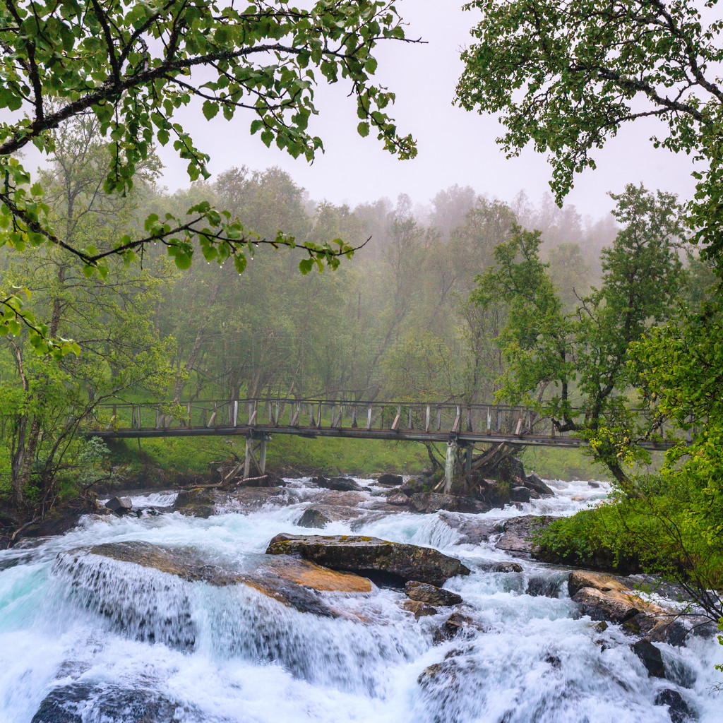 УȻ֮Ųɶ og Fjordane  Aurlandsfjellet ɽߵСźٲļĺɵա Aurlandsfjellet Ųٲ