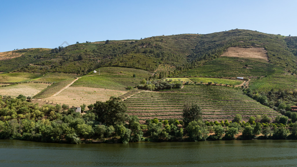 葡萄牙北部上杜罗葡萄酒产区杜罗河谷的梯田葡萄园被联合国教科文组织