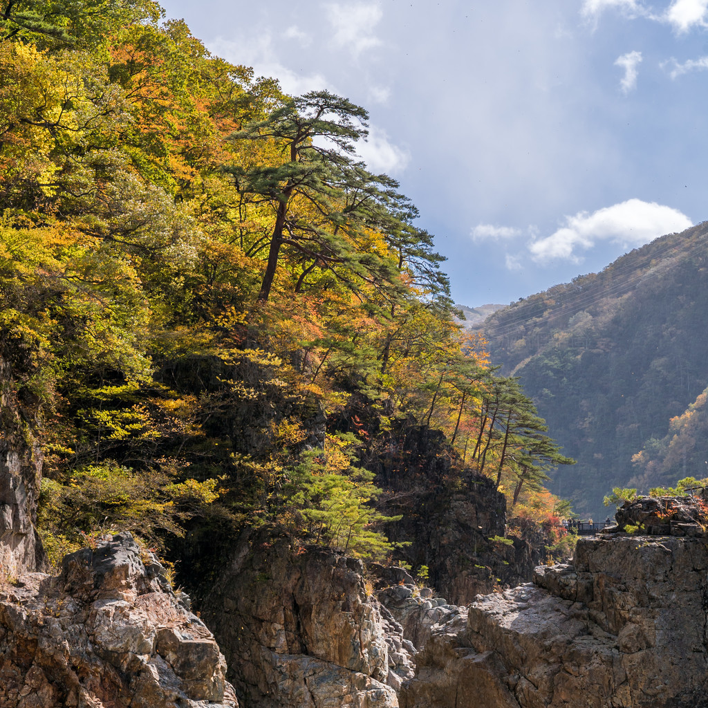 Ryuyo Gorge Ͽȹҹ԰չľձ