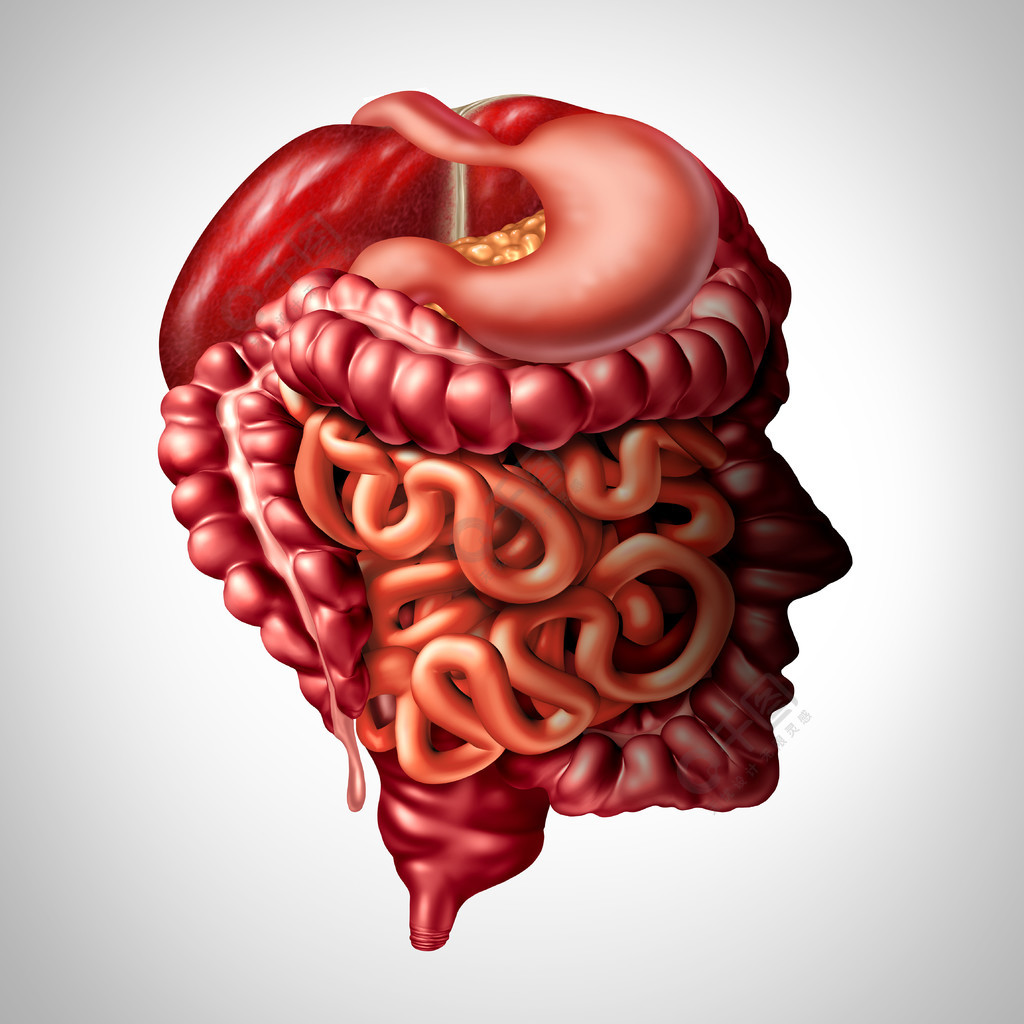 消化心理學和人類消化腸道大腦連接概念作為肝臟胰腺與胃和大腸和小腸