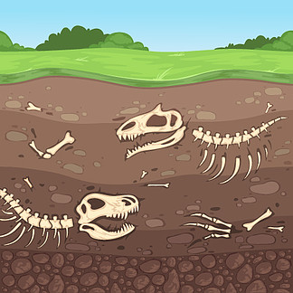 考古骨骼。地<i>下</i>恐龙骨骼土壤层掩埋粘土矢量卡通画。地球上的恐龙骨架，古代头骨。考古骨骼。地<i>下</i>恐龙骨骼土壤层埋粘土矢量卡通画