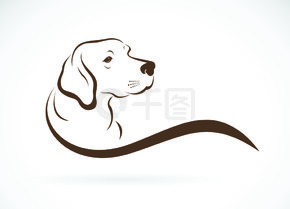 白色背景上的狗头（拉布拉多）矢量。，宠物。动物。易于编辑的分层矢量图。