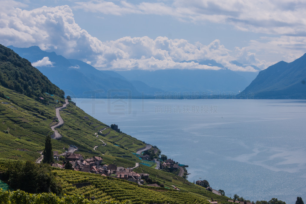 terrasse de lavaux,lac leman,,ʿ