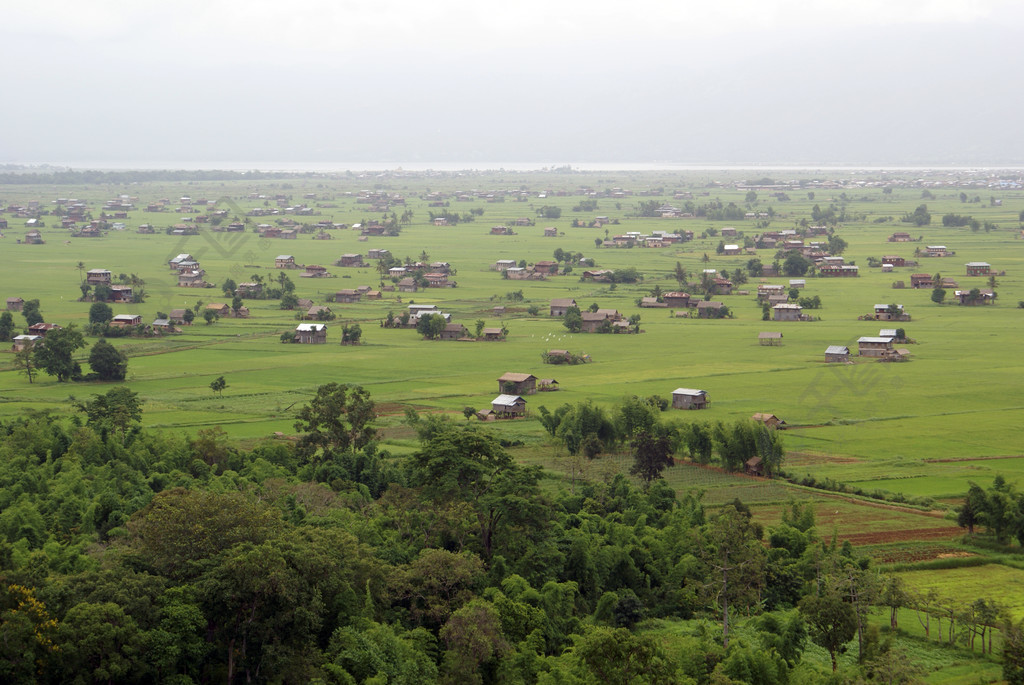缅甸森林分布图图片