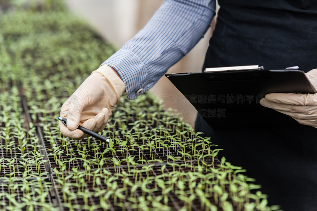 Biotechnology woman engineer with a clipboard and pen examining a plant for disease!