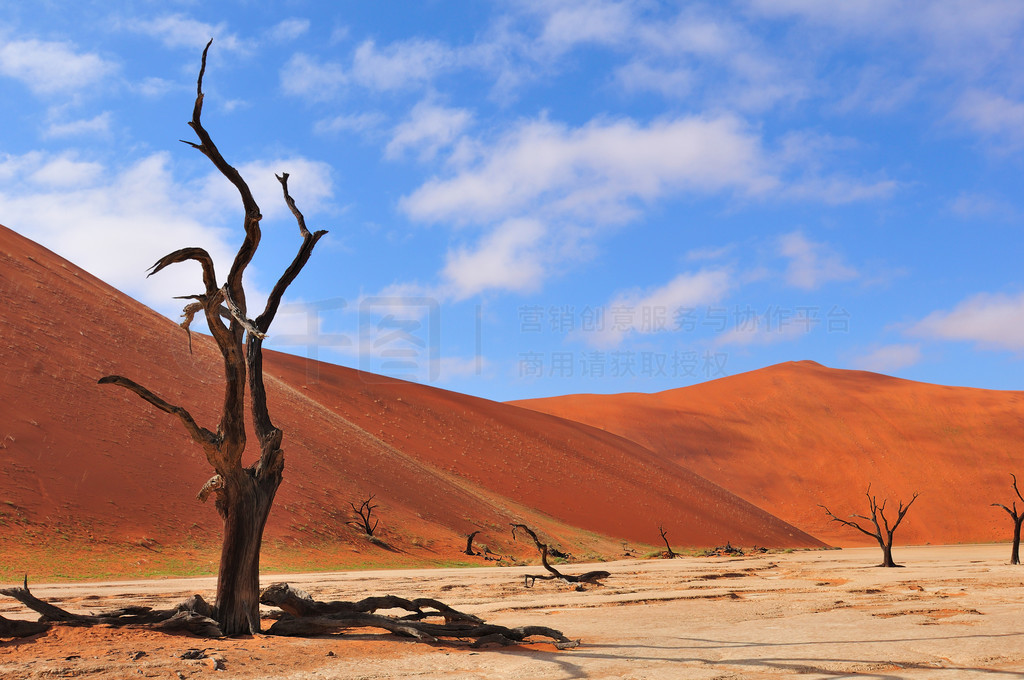 ù¶Ǽܣdeadvlei ױ