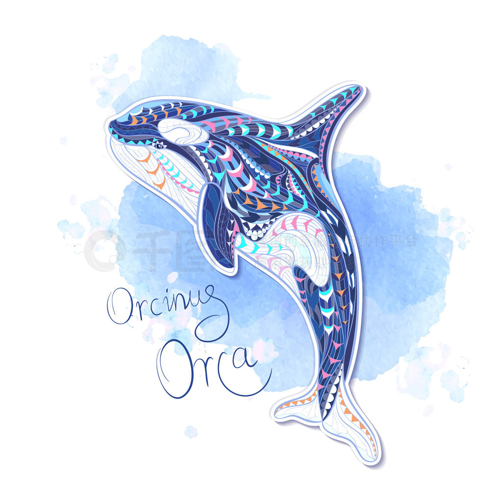 Patterned orcinus orca