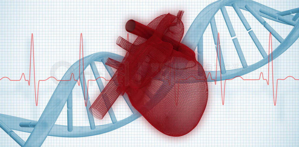 3d ෴Ժɫ ecg ߵ֤ɫ