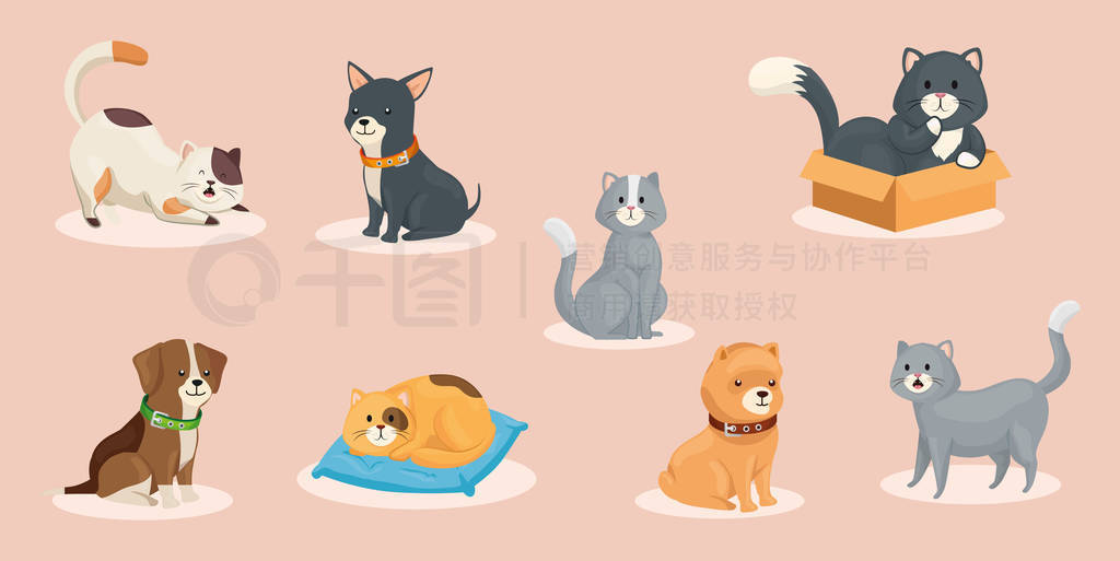 group of cute dogs with cats