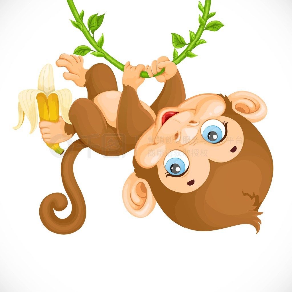 Cute baby monkey with banana hanging on the vine isolated on a w