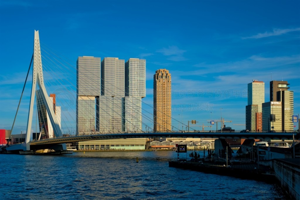 ¹صĦ¥ߺ˹ķ˹ (Erasmusbrug Bridge) ˹ (Nieuwe Maas River)¹ص¹صĦ¥ߺ Nieuwe Maas 