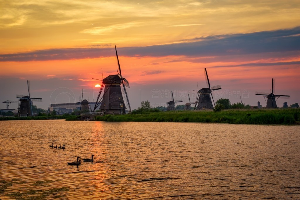 徰糵ںʤ Kinderdijk ϷԵաС̷ķ糵