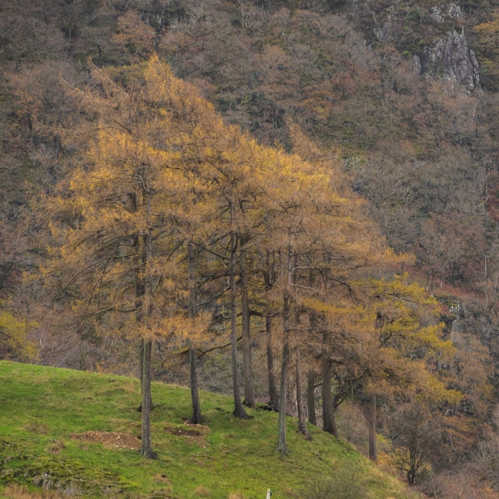 Ӻ Castle Crag  Borrowdale ɽȵ˾̾＾ͼ