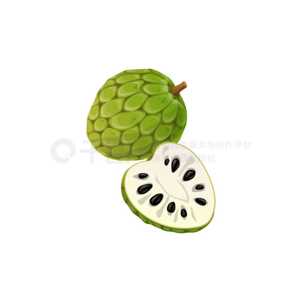 ëҶ֦ȹ֦ȴʳƷСиʸ guanabanagraviola  soursop һкɫӡлʳƷʳƻȴˮ֦֦