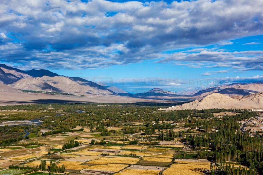 ϲɽ Thiksey gompa ӡȺӹȵľɫӡˡӡӡȺ򾰹