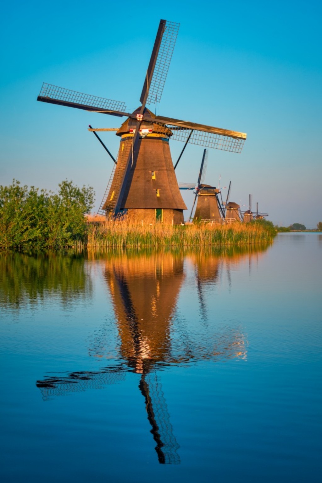 徰糵ںʤ Kinderdijk ϷԵաС̷ķ糵