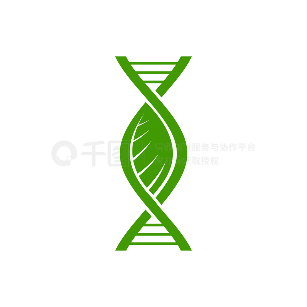 ֲ DNA ͼꡢҶӺɫʸ־＼оȻѧҽѧֲϸ DNAҶ־ȾɫлŴѧֲ DNA ͼꡢҶӺɫ