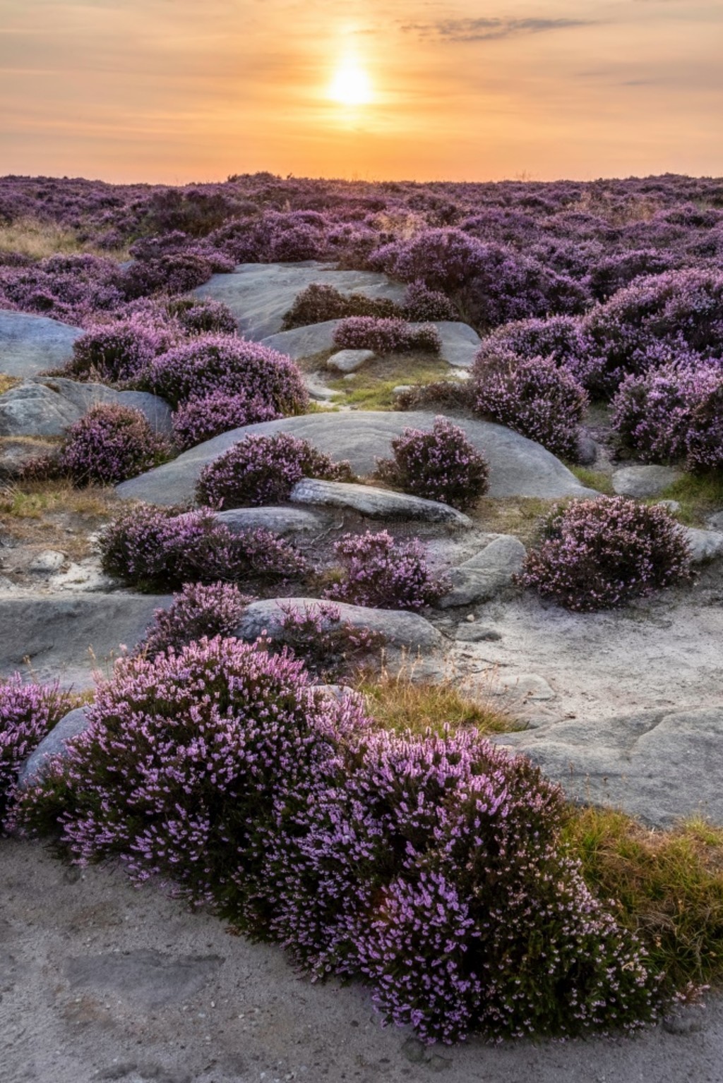  (Peak District) ĩ˾̾ճϣ (Higger Tor) ͲԵ (Burbage Edge) ΧʢʯϻϿ