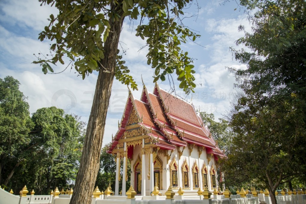 2022  12 £̩̩񸮻иĻ (Wat Huay Mongkol) ̩  (Wat Huay Mongkol)