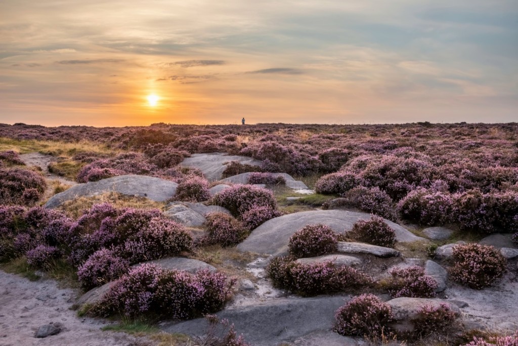  (Peak District) ĩ˾̾ճϣ (Higger Tor) ͲԵ (Burbage Edge) ΧʢʯϻϿ