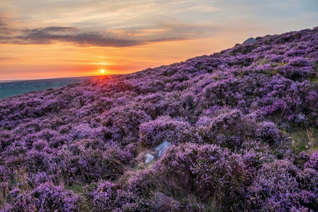  (Peak District) ĩ˾̾ճϣ (Higger Tor) ͲԵ (Burbage Edge) ΧʢʯϻϿ