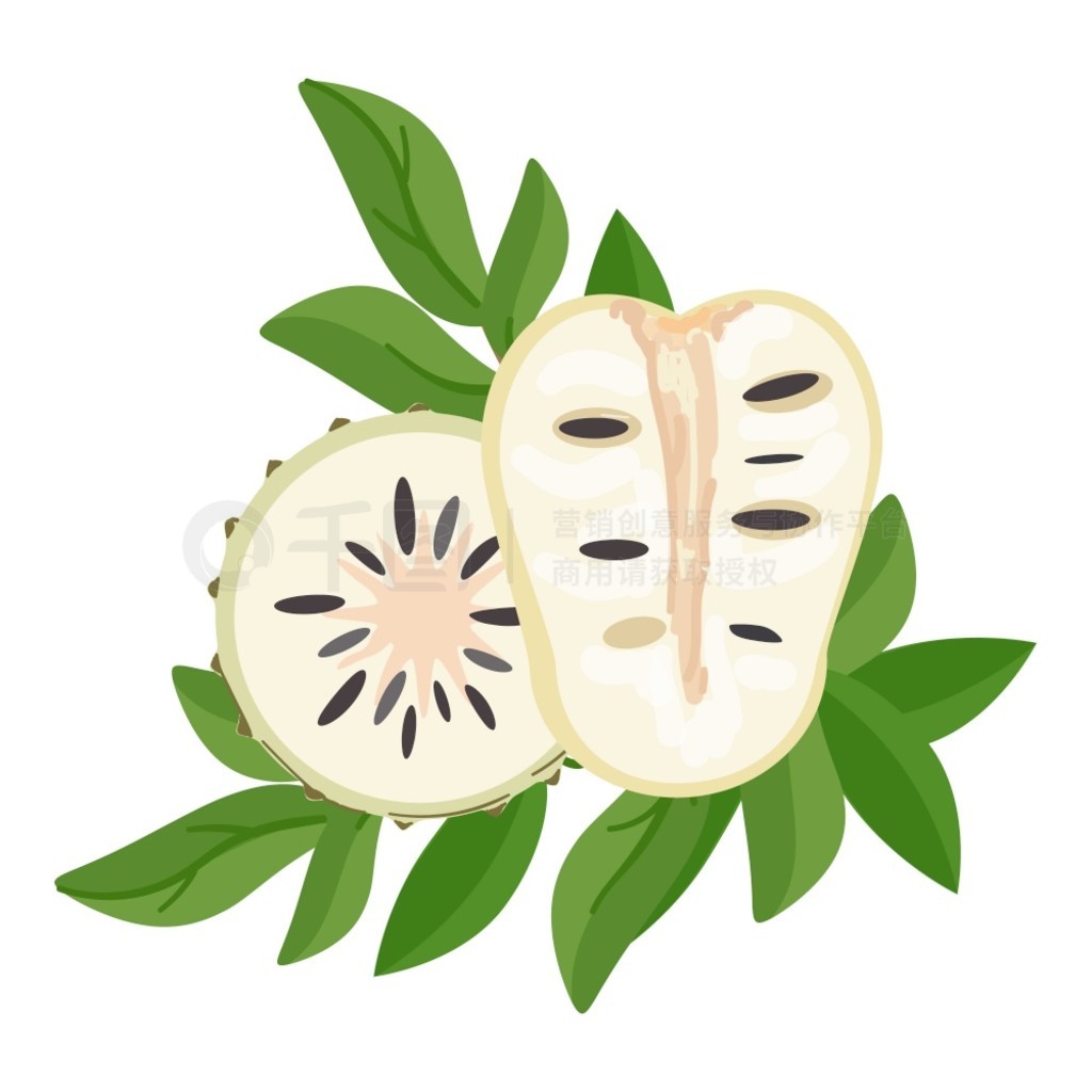 Soursop ͼ꿨ͨʸάʳƷ֭ Soursop ͼ꿨ͨʸάʳƷ