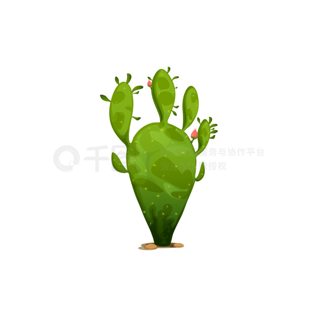 ɫƶֲ֭ɳĮĿͨͼСʸ̵ֲ˹άǻӡơơ Ferocactus Ͱ״ƣд̡ƶ֭ɫֲɳĮ