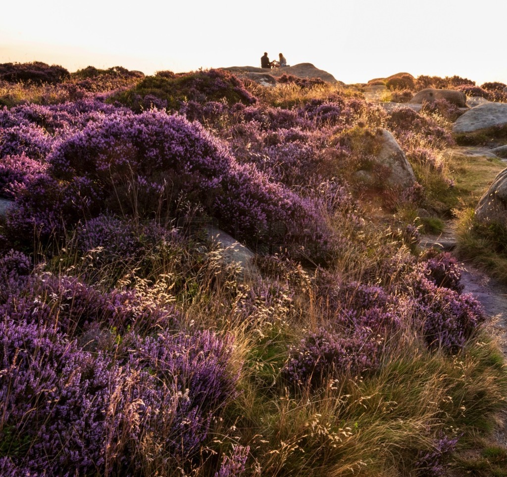  (Peak District) ĩ˾̾ճϣ (Higger Tor) ͲԵ (Burbage Edge) ΧʢʯϻϿ