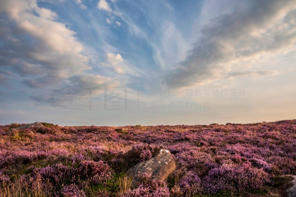  (Peak District) ĩ˾̾ճϣ (Higger Tor) ͲԵ (Burbage Edge) ΧʢʯϻϿ