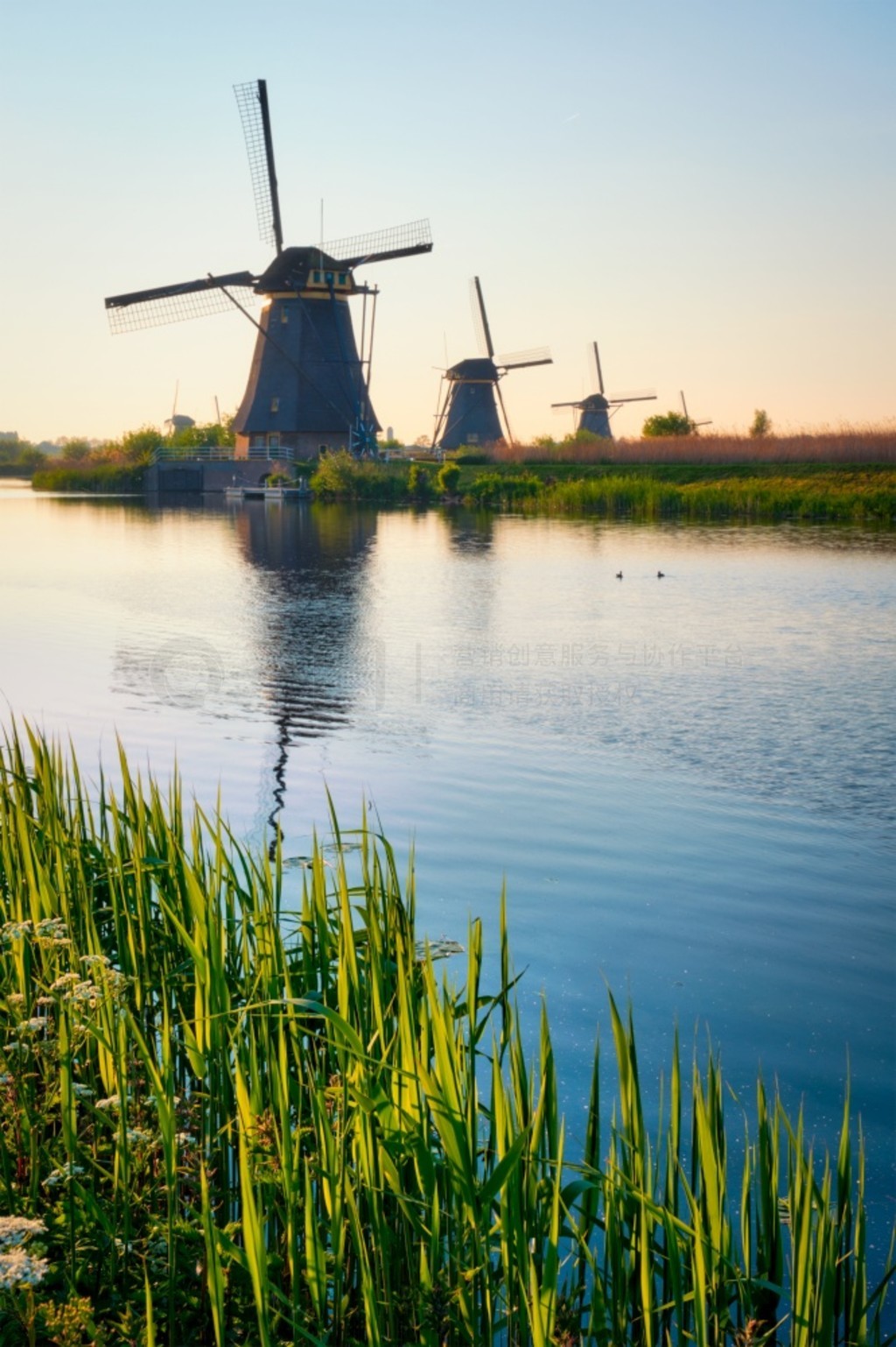 徰糵ںʤ Kinderdijk ϷԵաС̷ķ糵