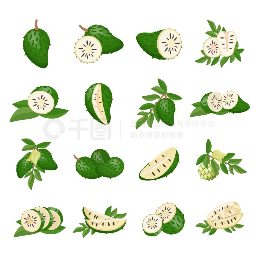 Soursop ͼÿͨʸ￨ʵֲ Soursop ͼÿͨʸ￨