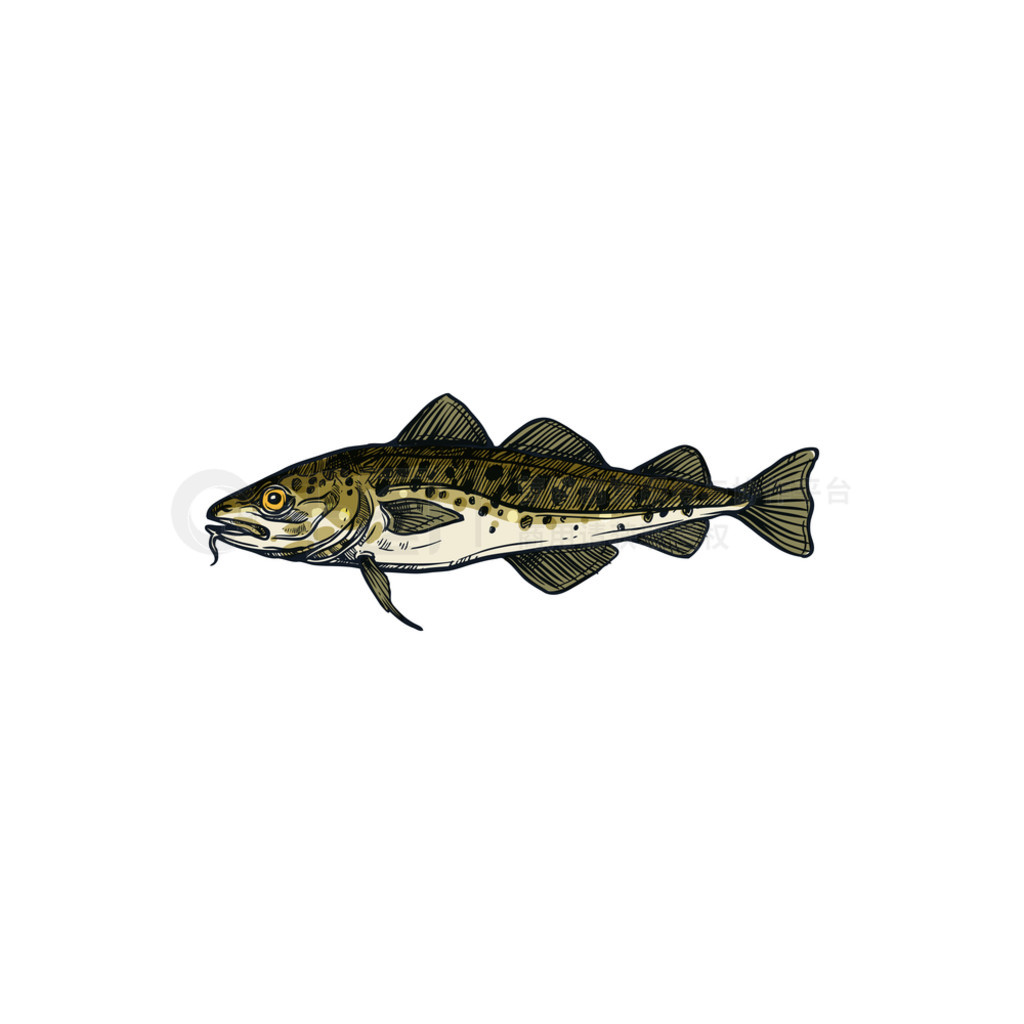 뵭ˮ衣ʸ Walleye Zander ˮ㣬˶ŷޡͶʲƺҵ־㡣㵭ˮ