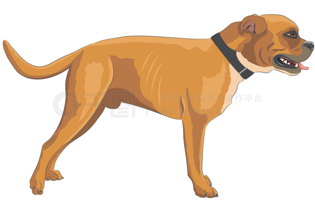 ϵĴɫ๫Ȯʸͼ..ɫ Dogue de Bordeaux Ըڰɫ