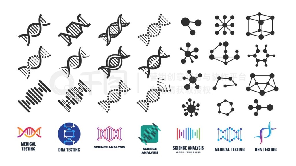 DNA ӽṹͼ꣬ʵұ־ѧҽѧ＼оŴѧɼӷӽṹ＼ѧ֤ DNA ӽṹͼ꣬ʵұ־ѧҽѧ＼оŴѧǩ