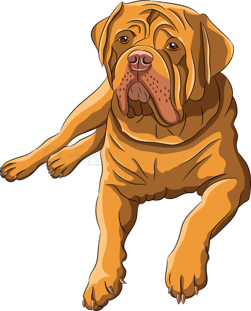 Ȯʸͼ..ڰɫϹĴdogue de bordeaux