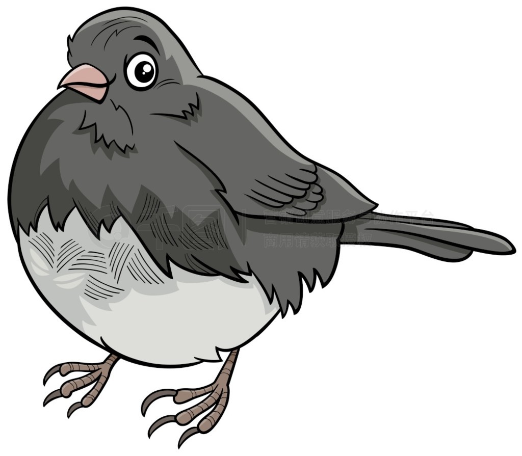 Ȥ Junco ɫĿͨͼ