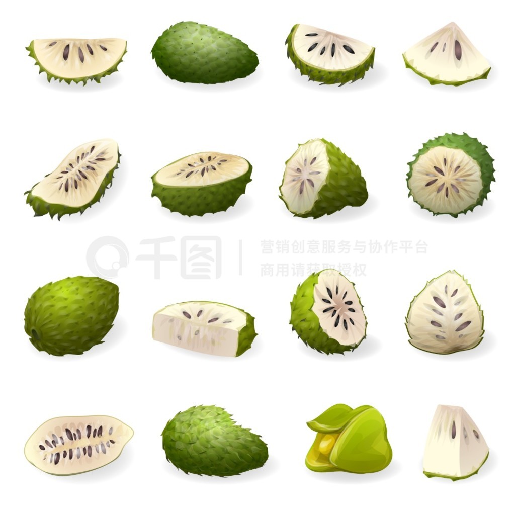 Soursop ͼÿͨʸֲ֦ʵ Soursop ͼÿͨʸ֦