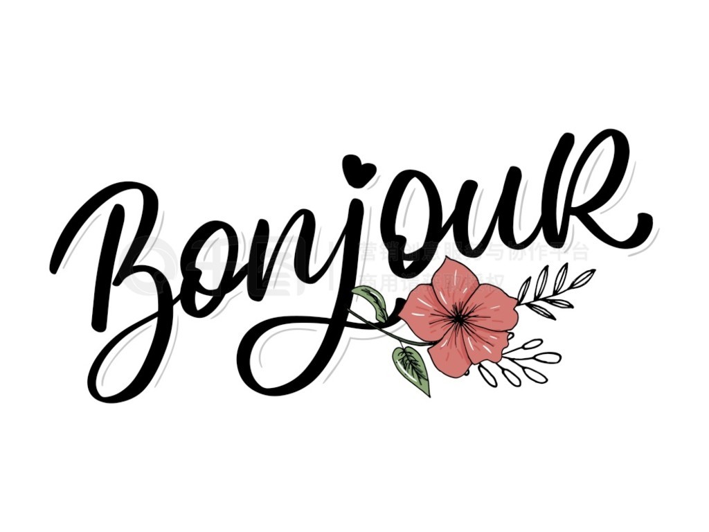 Bonjour ʸ鷨ˢڰͼ Bonjour ʸ鷨ʺڰ