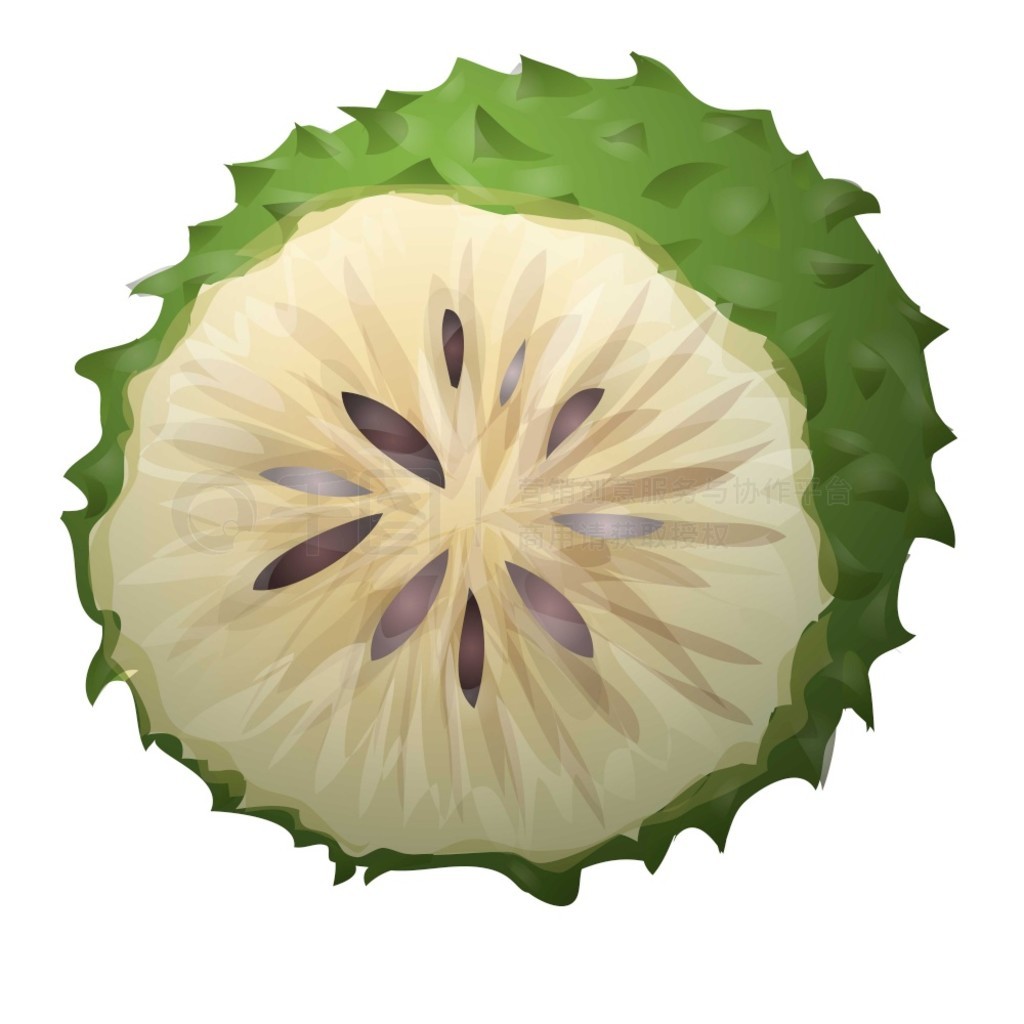 ֲ soursop ͼ꿨ͨʸʵ֭Ҷֲ soursop ͼ꿨ͨʸ