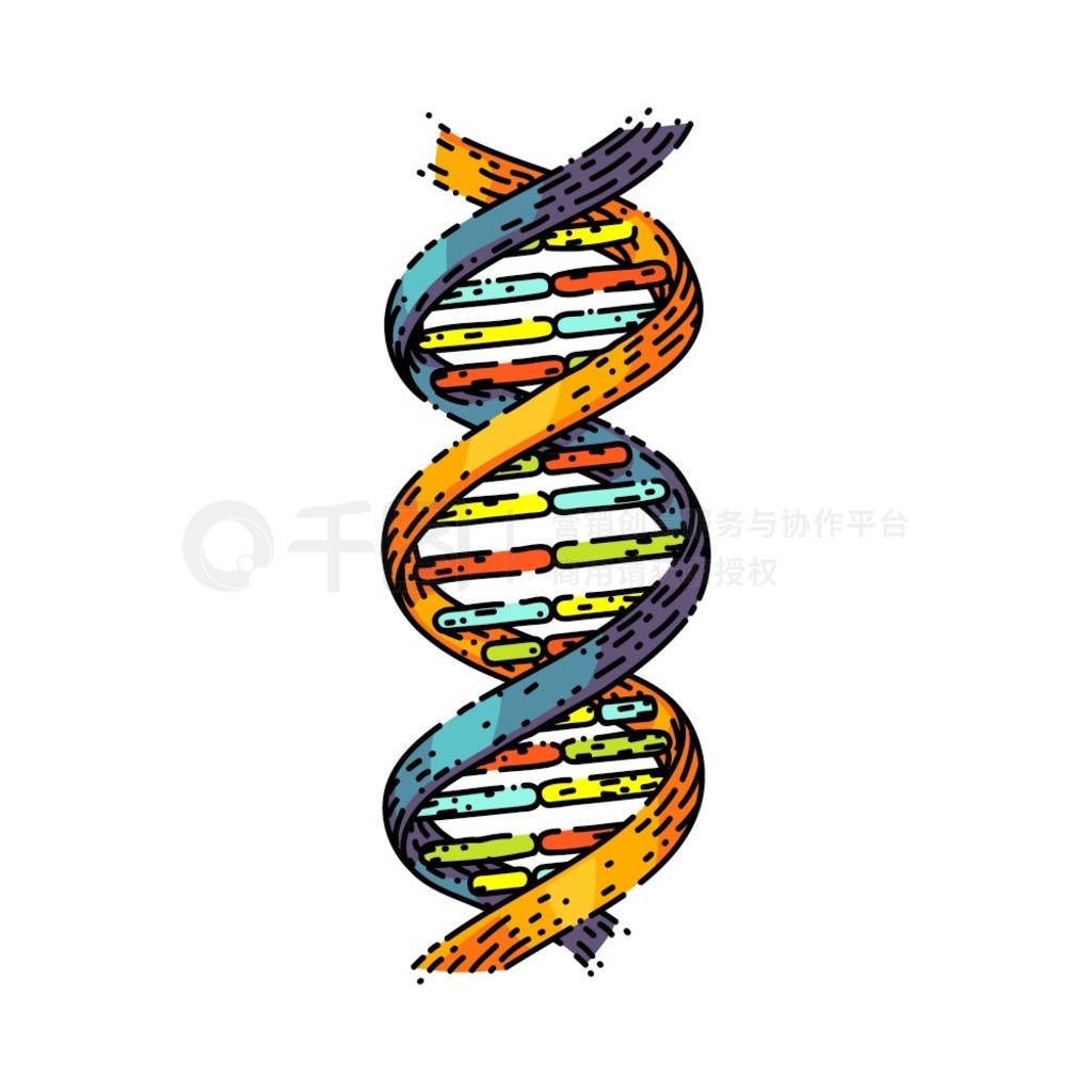 DNA ѧֻʸŴ＼ӡҽѧṹ DNA ѧͼĲɫͼ DNA ѧֻʸ