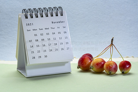 2021年11月 — 螺旋桌面日历与带有海棠,时间和商业概念的抽象纸景观