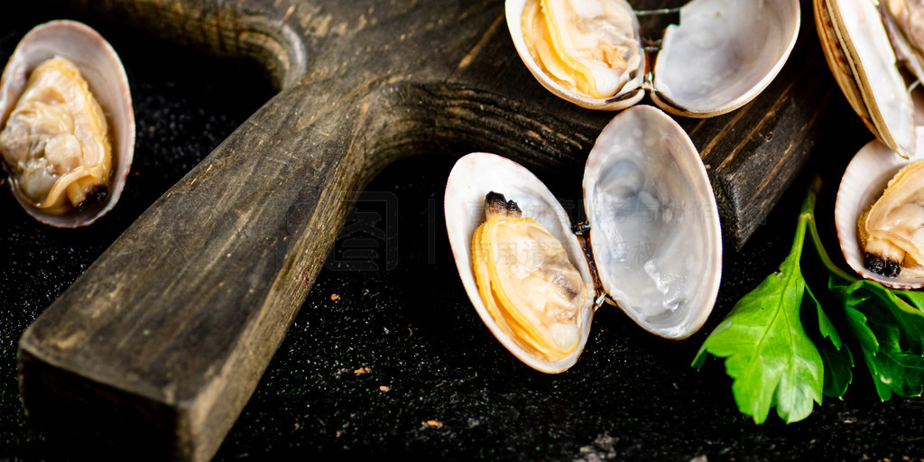 ʵ vongole аϵŷۡںɫϡƷƬʵ vongole аϵŷۡ