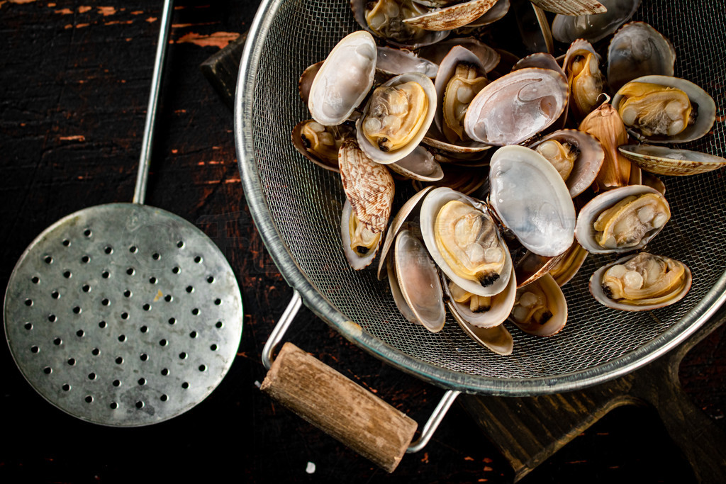 Vongole в˰ϵ©СӵɫϡƷƬ Vongole в˰ϵ©С