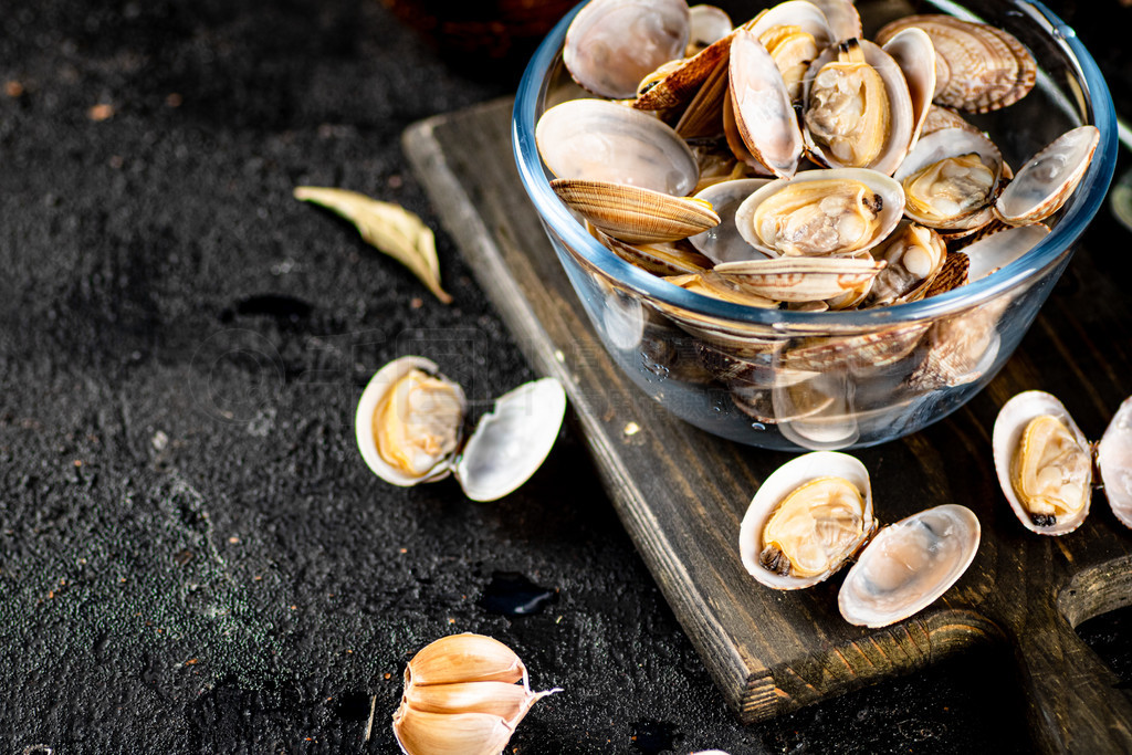 Vongole аϵĲСںɫϡƷƬ Vongole аϵĲС