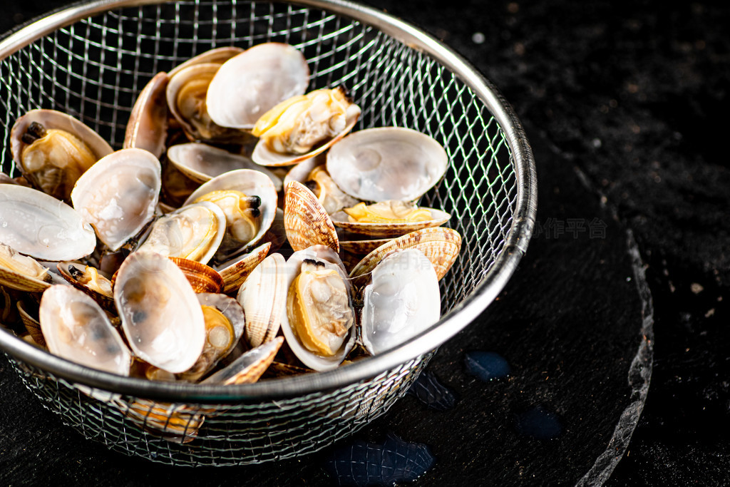 Vongole ʯϵ©СںɫϡƷƬ Vongole ʯϵ©С