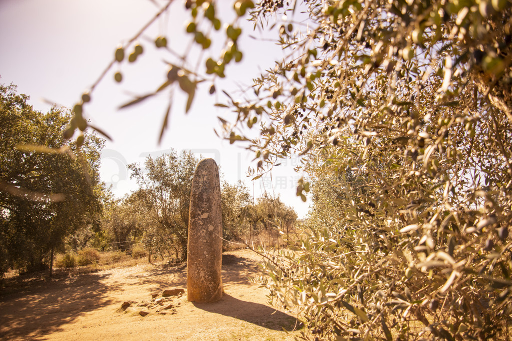 ʡие Ebora Megalithica  Cromlech of Almondsʮ£